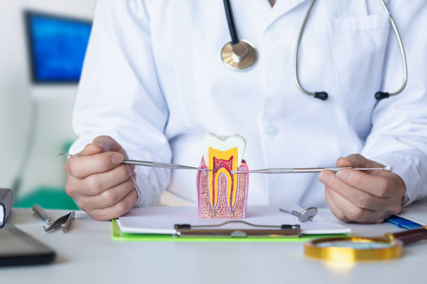 Best Emergency Root Canal Treatment in Mccamey, TX
